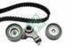Recambios 530042210 - KIT DE DISTRIBUCION           [INA]