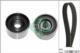 Recambios 530050210 - KIT DE DISTRIBUCION           [INA]