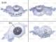 Valeo 506637 - B.AGUA LAGUNA D/TD
