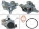 Valeo 506784 - B.AGUA RENAULT MASTER