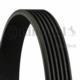 Gates 6PK1019ELAST - ACANALADA ELAST