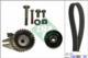 Luk 530062410 - KIT DISTRIBUICION