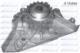 Dolz C154 - BOMBA DE AGUA CITROEN C4-C5 P-408